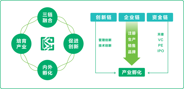 尊龙凯时人生就博官网登录式孵化